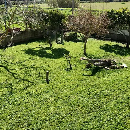 Gæstehus Figu Morisca Sili